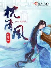 枕清风 封面