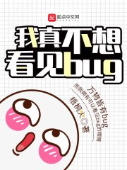 我真不想看见bug 封面
