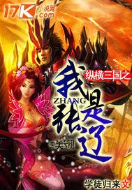 纵横三国之我是张辽 封面