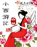 小西游记 封面