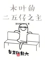 木叶的二五仔之主 封面
