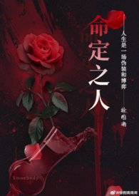 命定之人（异国，1v1，高H） 封面