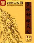 笑傲神雕天龙 封面