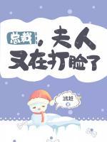 总裁，夫人又在打脸了 封面