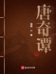 唐奇谭 封面