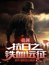 亮剑:抗日之铁血远征 封面