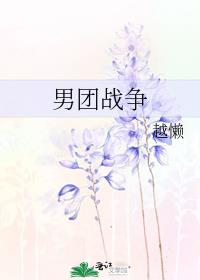 男团战争 封面