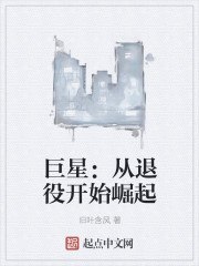 巨星:从退役开始崛起 封面