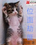 位面劫匪 封面