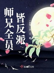 师兄全员皆反派 封面