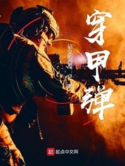 穿甲弹 封面