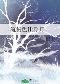 二流货色II:浮灯 封面