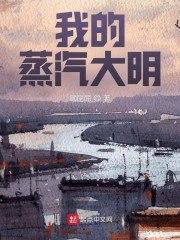 我的蒸汽大明 封面