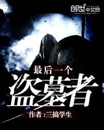 最后一个盗墓者 封面