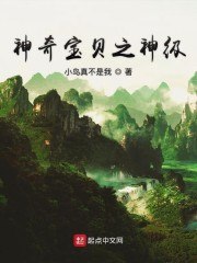 神奇宝贝之神级 封面