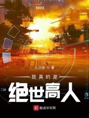 我真的是绝世高人 封面