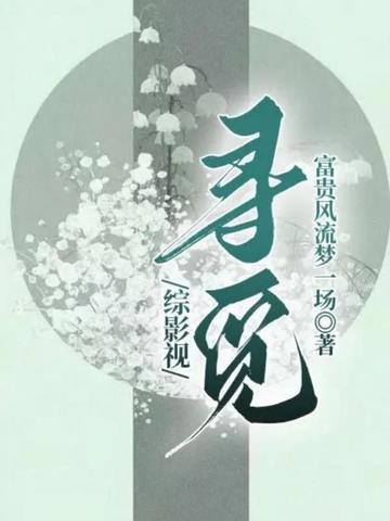 综影视寻觅 封面