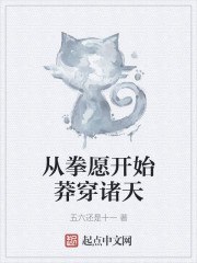 从拳愿开始莽穿诸天 封面
