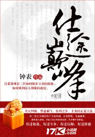 仕途巅峰 封面