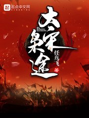大宋枭途 封面