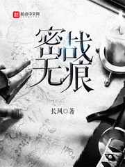 密战无痕 封面