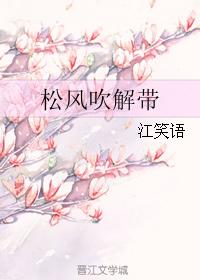 松风吹解带 封面
