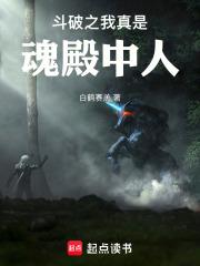斗破之我真是魂殿中人 封面