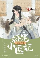 战神王爷娇宠小医妃 封面