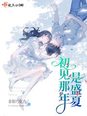 初见那年是盛夏 封面