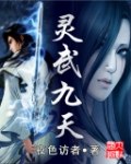 灵武九天 封面