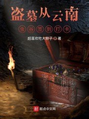 盗墓从云南虫谷签到打卡 封面