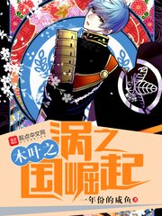 木叶之涡之国崛起 封面