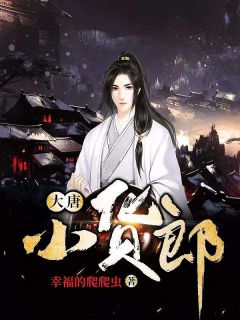 大唐小货郎 封面