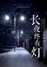 长夜终有灯 封面