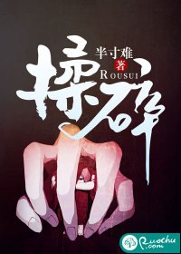 揉碎 封面
