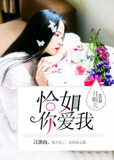 陈燃 封面