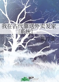 我靠送外卖攻略大将军 封面