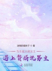 当全能大佬女主遇上赘婿流男主 封面