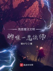 我是魔法文明的唯一魔法师 封面