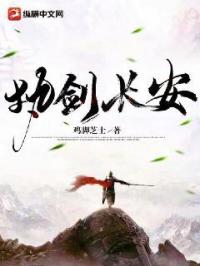 执剑长安 封面