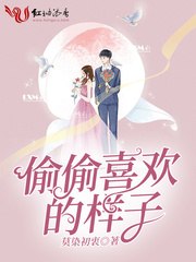 偷偷喜欢的样子 封面