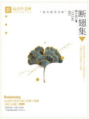 段飞流苏 封面