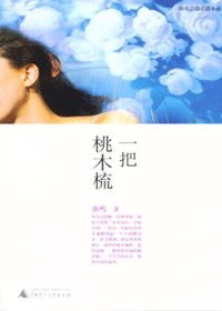 一把桃木梳 封面
