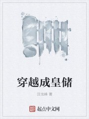 穿越成皇储 封面