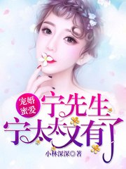 宁时御林暖 封面
