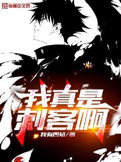 我真是刺客啊 封面