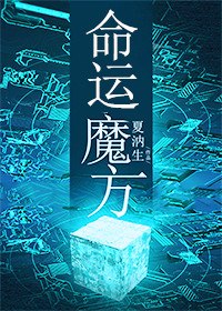 命运魔方 封面