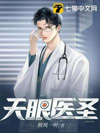 天眼医圣 封面