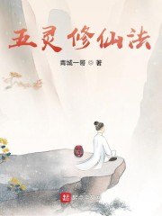 五灵修仙传奇 封面