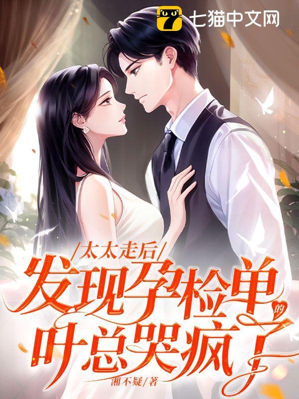 太太走后,发现孕检单的叶总哭疯了 封面